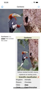 Encyclopedia of Birds screenshot #4 for iPhone