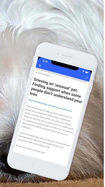 Pet Loss screenshot-9