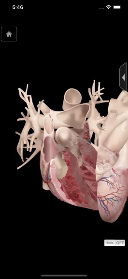Game screenshot Heart Pro III - iPhone apk