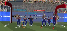 Game screenshot World Cricket Battle 2 (WCB2) hack