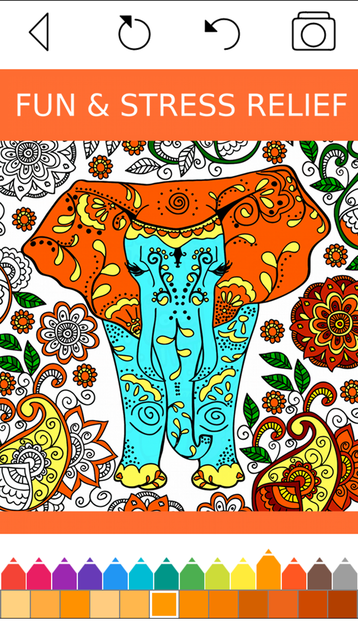 Animal Coloring Book -