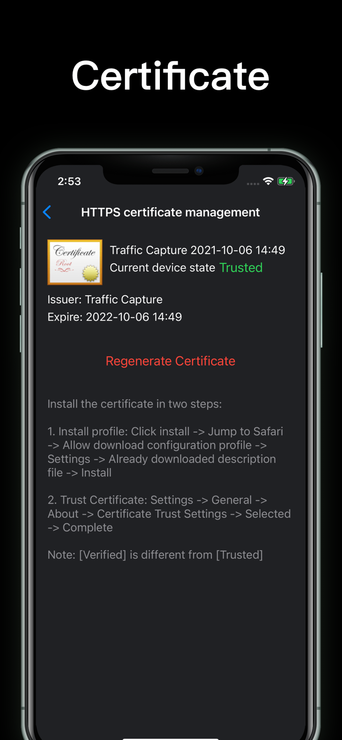 Http traffic capture