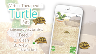 Tortoise Pet Screenshot