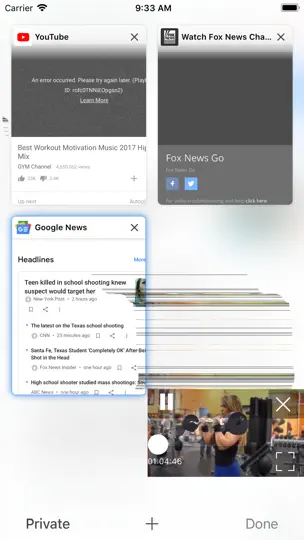 Скриншот Skyfire Browser For Web Video на iPhone 7