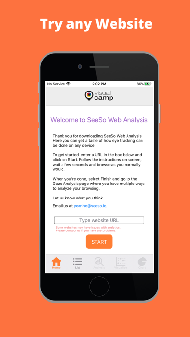 SeeSo Web Analysis screenshot 2