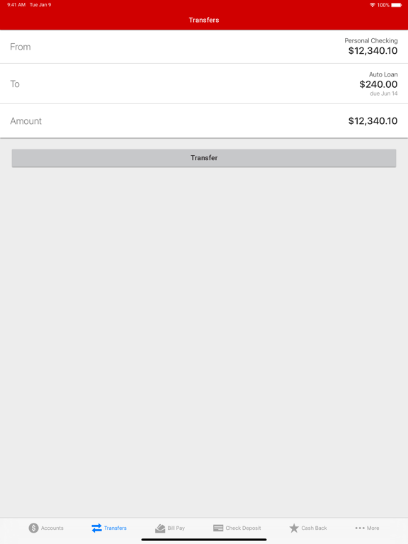 University of Nebraska FCU iPad screenshot 3 - Finance app