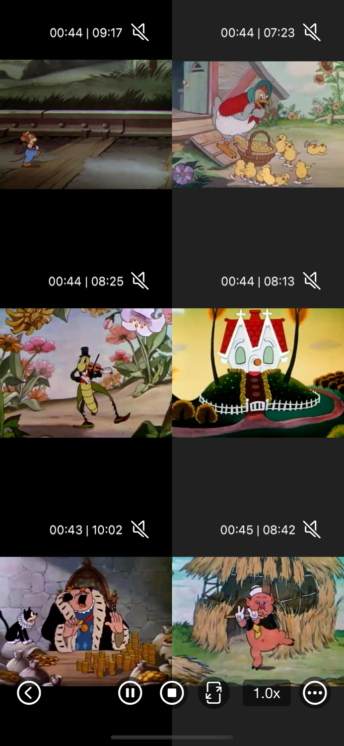 Multi Video Player Plus