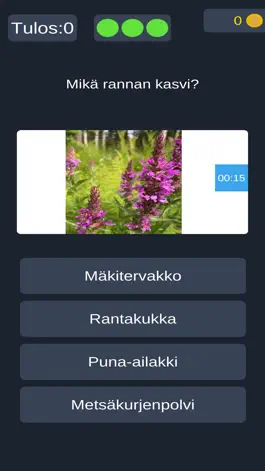 Game screenshot Suomi Visailu apk