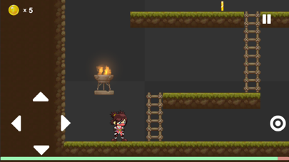 Ninja Runner - Platformer Game Screenshot