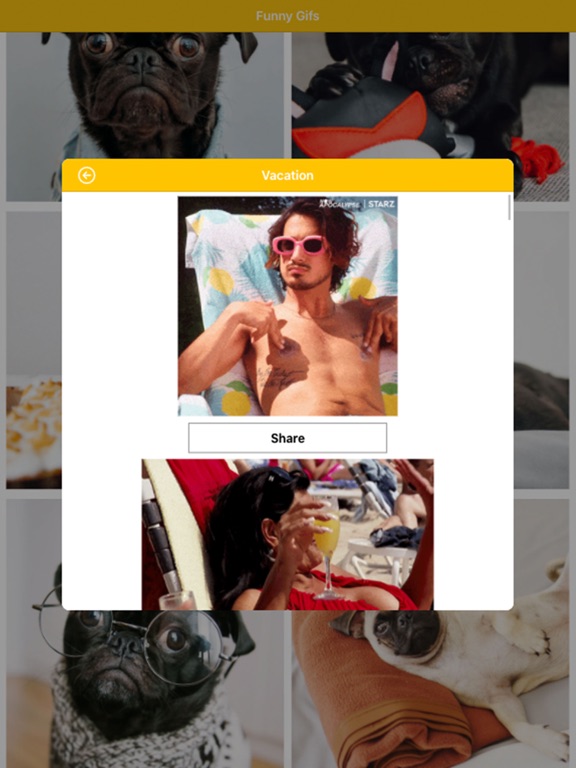 Screenshot #6 pour Funny Gifs For Messages