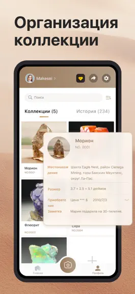 Game screenshot Rock Identifier: Рок и камень hack