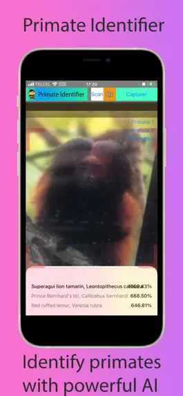 Game screenshot Primate Identifier mod apk
