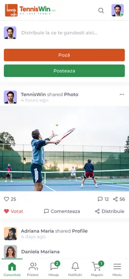 Game screenshot TennisWin hack
