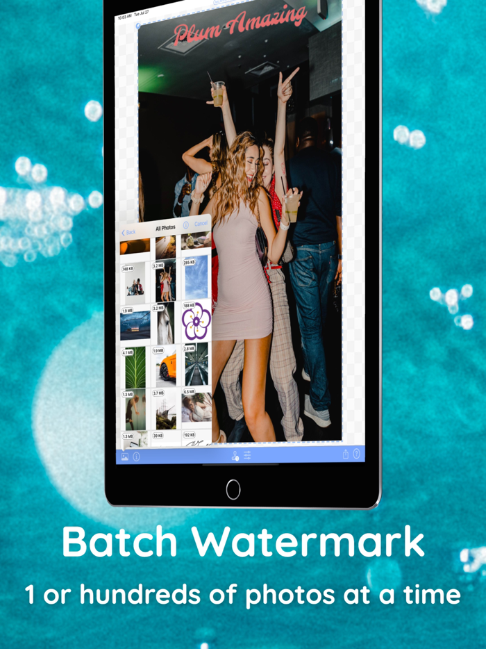 iWatermark Watermark Add Logo