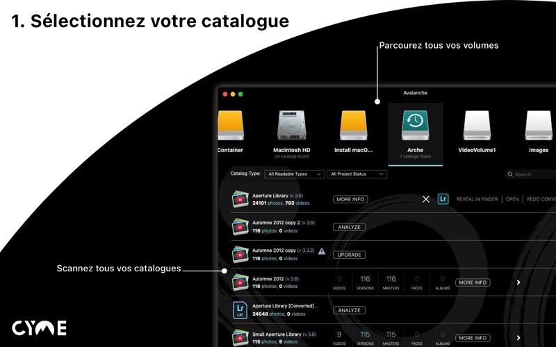 Screenshot #2 pour Avalanche Unlimited