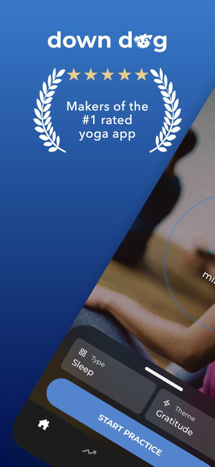 Meditation  Down Dog