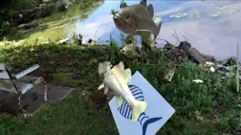 Game screenshot Swimming Upstream AR hack