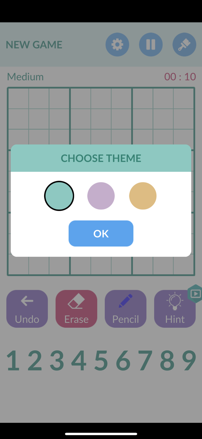 Sudoku  Puzzle Sudoku