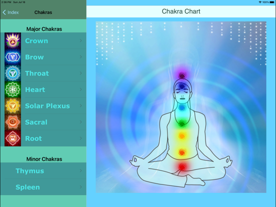 Chakra Balancingのおすすめ画像3