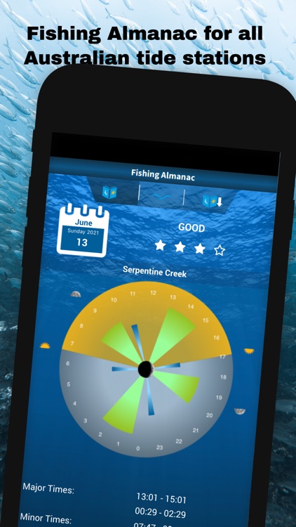 iDfish screenshot-4