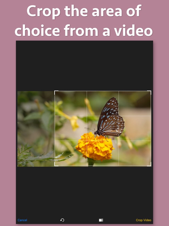 Screenshot #6 pour Video Cropper Premium