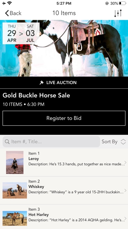 Gold Buckle Horse Sale
