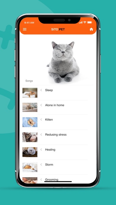 SiTOPET Screenshot