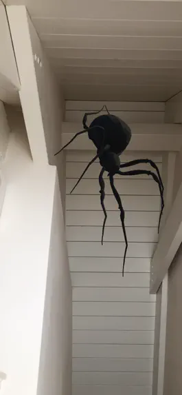 Game screenshot Hanging Spider hack