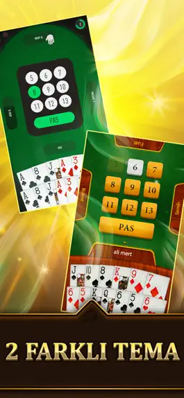 Game screenshot Batak HD - İnternetsiz Batak hack
