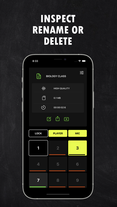 Voice Pads Screenshot