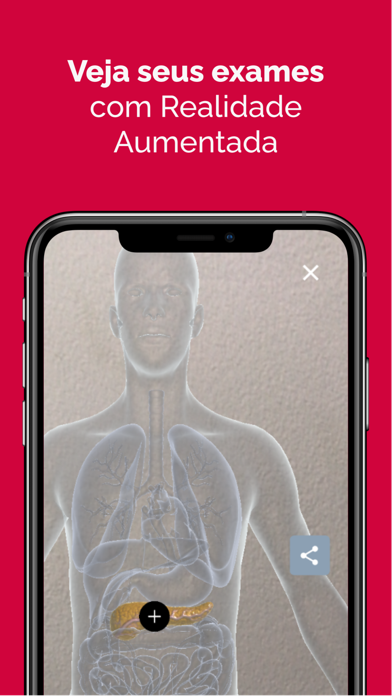Laboratório Padrão Screenshot