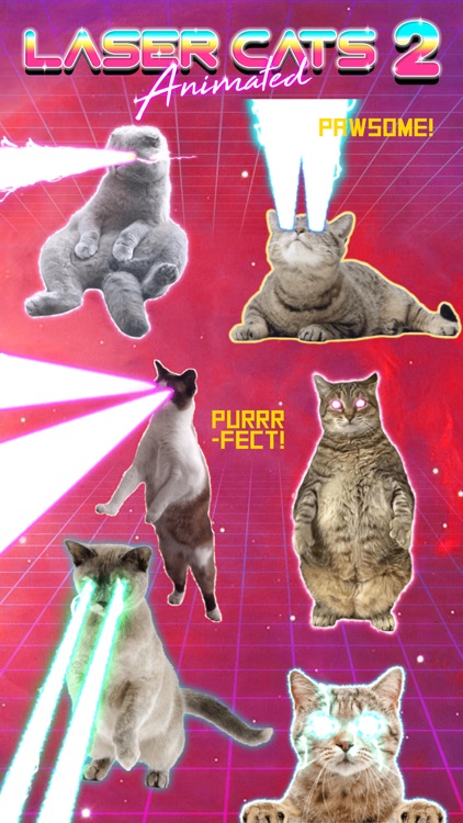 Laser Cats 2 Animated