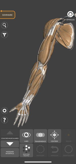 ‎Anatomie 3D pour l'Artiste Capture d'écran