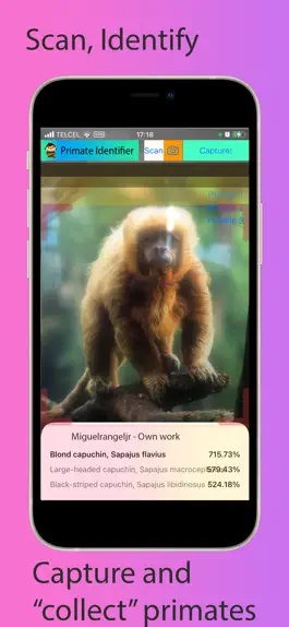 Game screenshot Primate Identifier apk