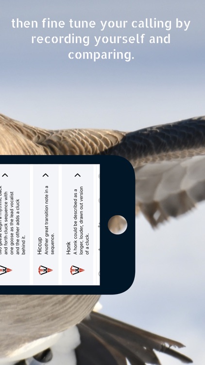 Goose Tech