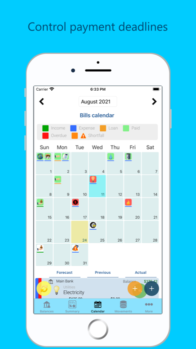 Saru - Expenses and Money Screenshot