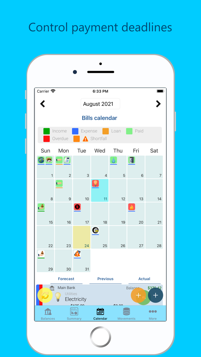 Saru - Expenses and Money