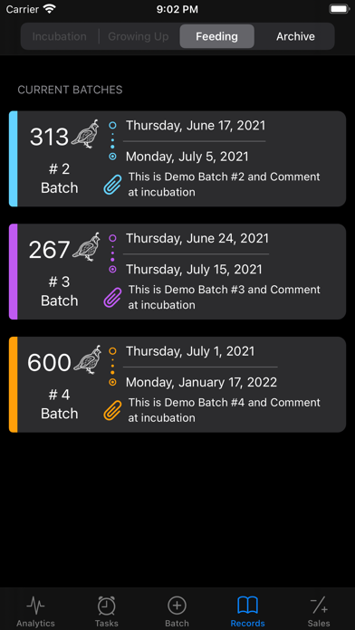 Quail Breeder Screenshot