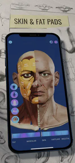 Game screenshot Ecorche: Portrait Anatomy mod apk