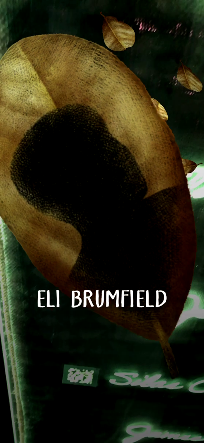 FRONTLINE Unresolved