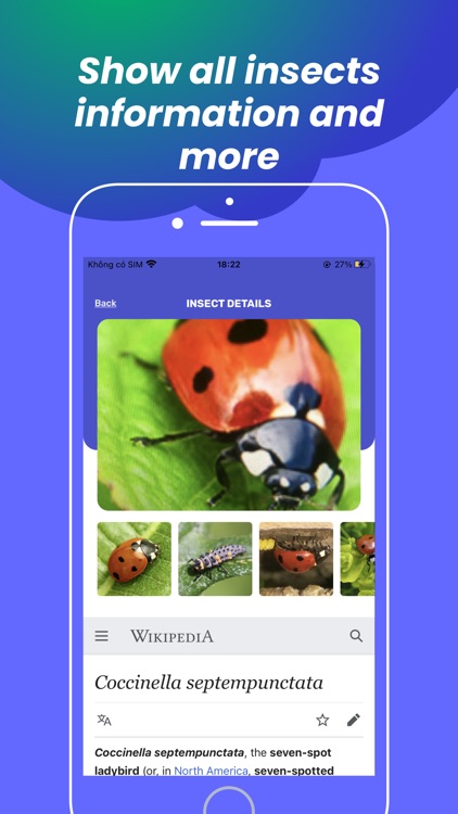 Insect identification - Bug ID screenshot-3