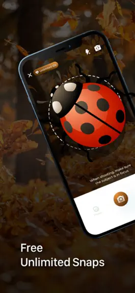 Game screenshot Insect ID - Bug Identifier apk