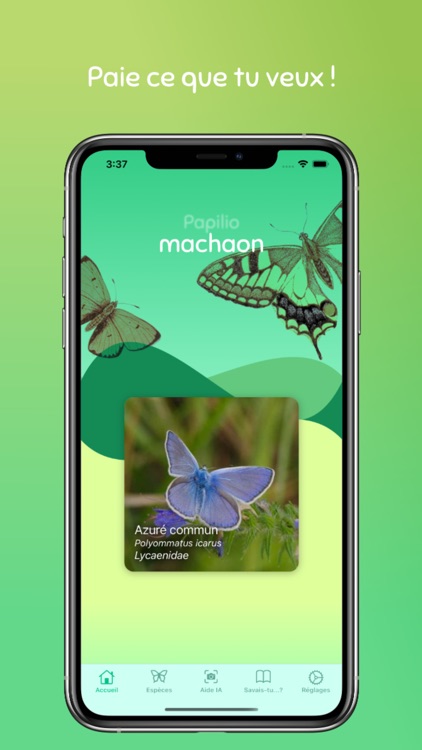 Machaon — Guide des papillons screenshot-4