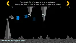 Game screenshot EchoBat apk