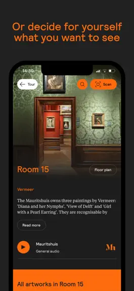 Game screenshot Mauritshuis hack