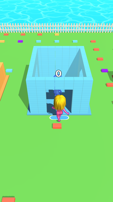 Home Race Screenshot