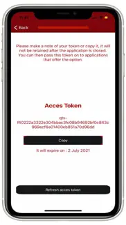 access token iphone screenshot 3