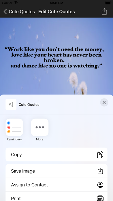 Cute Quotes Screenshot