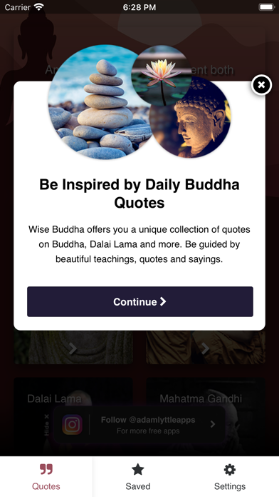 Wise Buddha Quotes Screenshot