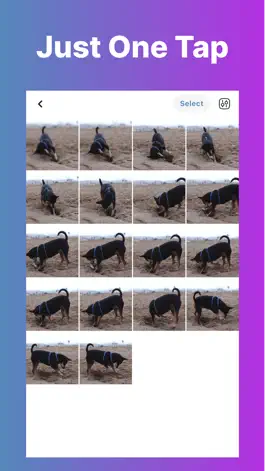 Game screenshot Video to Pic Converter Vid2Pic apk
